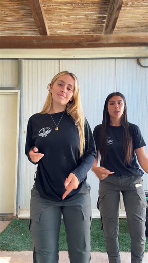 Dance with my partner #israel #idf #shorts