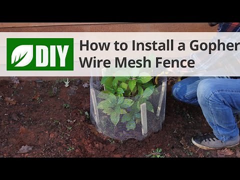 How to Install a Gopher Wire Mesh Fence | DoMyOwn.com