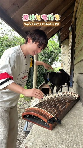 君はともだち🐶🐾 || #箏 #koto #和楽器 #犬のいる暮らし #グラニフ公式サポーター#pr