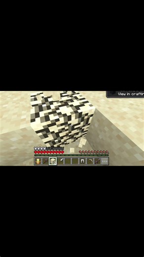 Minecraft but you control my game world #shorts