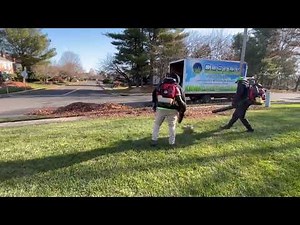 Spring Yard Leaf Cleanup in Marlboro, NJ