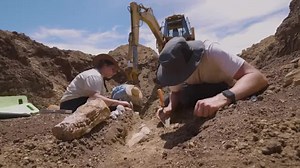 Ancient Plesiosaur skeleton found in Australia