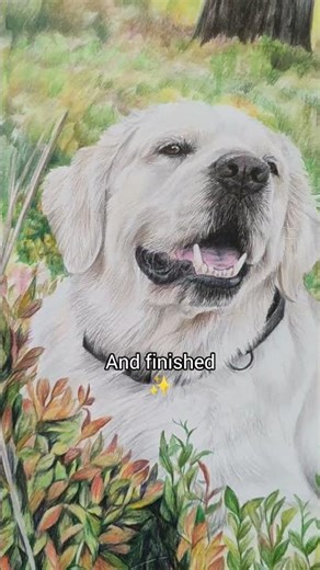 Last 10 Seconds of a Dog Portrait ✨ | Realistic Colored Pencil Drawing