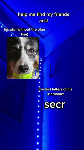 Help Me Find My Friend's Account on Social Media