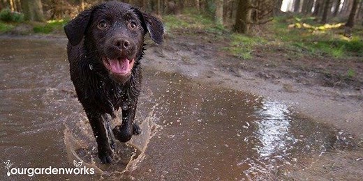 10 Ways To Cover Up Mud In Your Backyard