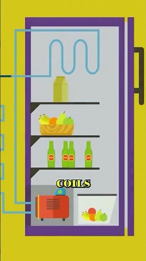How Refrigerators Work in 20 Seconds 🧊 | #Refrigerator