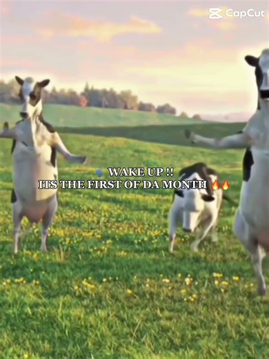 yes its a template cry abt it #capcut