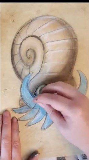 DRAWING EVERY SINGLE POKEMON - OMANYTE #art #pokemon #chalk #helix #fossil #graphite #gen1 #kanto