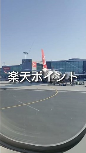 Cheap flights? #shorts