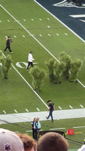 Engaging Tree People Performance at Super Bowl