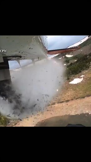 150K views · 4.8K reactions | Dropping fish into Colorado mountain...