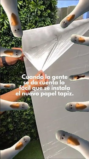 ¡Prueba el nuevo papel tapiz autoadherible!