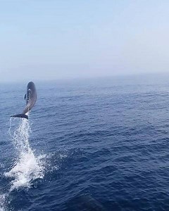 1.6K views · 16 shares | Yet another magical moment for the whole...