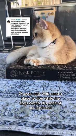 Replying to @🦋🦋🦋 the Bark Potty serves many purposes #dogs #puppypotty