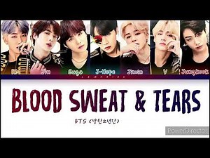 BTS | Blood Sweat & Tears | Full HD (Lyrics) Music Video