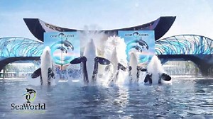 Seaworld Orlando 50th celebration advert 2014