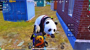 Panda Character Highlights in PUBG Mobile Gameplay