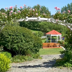 Marrying My Short Boyfriend | Hannah Stocking