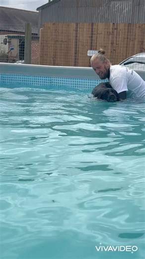 Retired guide dog Diane came for a birthday swim to regain her confidence, Archie came too he’s taken on her guide dog role for their human 🐾💕💦 | Canine Dip and Dive Maldon