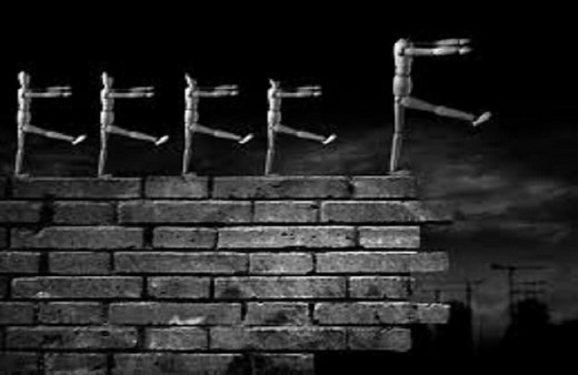 Noma: Culinary Innovation in Copenhagen | SearchHounds