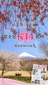 富士宮市内の桜スポットをまとめました富士宮桜名所マップに連動しています富士山と一緒に桜を楽しめるスポットもたくさん🌸🗻🌸 富士宮市の桜スポット1. 道の駅 朝霧高原2. 田貫湖3. 白糸自然公園4. 狩宿の下馬ザクラ5. 大石寺6. 潤井川河川敷7. 興徳寺8. 西山本門寺9. 稲瀬川桜並木10. 白尾山公園11. 富士山本宮浅間大社12. 富士桜自然墓地公園13. 富士山さくらの園14. 富士山スカイライン🌸 公式サイトでは桜マップ公開中！ 桜まつりなどのイベント情報や 「泊まる・遊ぶ・食べる」観光総合情報もチェックできます✨https://t.co/FdBHy23wIS#桜スポット #富士山