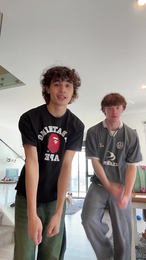 Dynamic Duo Dance: Ashes Ashes TikTok Dance