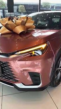 2026 POV - Lexus LBX 1.5L Luxury