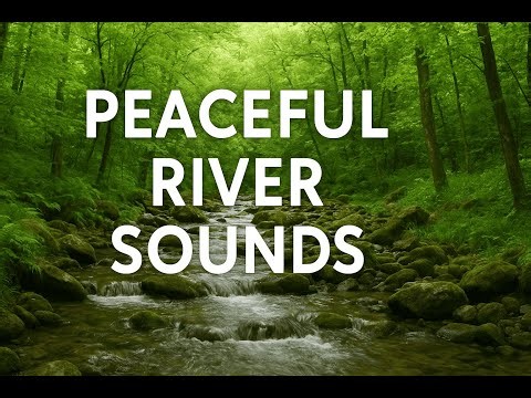 Relaxing Stream Sounds for Deep Sleep 🌿 Calm Water Flow to Reduce Stress & Anxiety