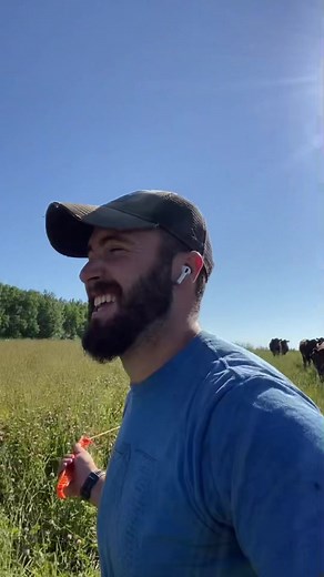 Caring for Cattle: A Guide to Herd Management