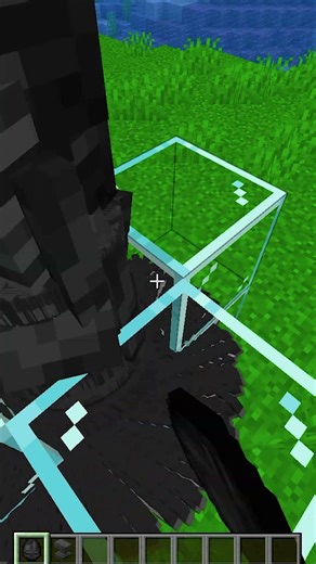 1000 Wither Skeleton VS Anvil #minecraft #shorts #gaming