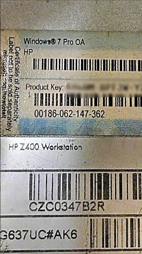 What is Windows License Key?