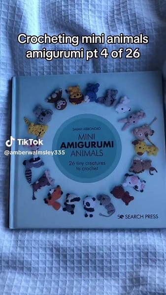 Amberyarncrafts on TikTok