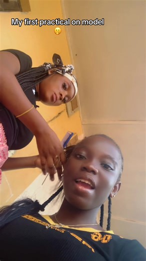 My First Practical Experience with Models