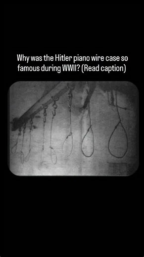@historyfacts_here | The 1944 plot to kill Hitler is a story you and I have read enough to know, but the specifics of how those men died is a hard story to... | Instagram