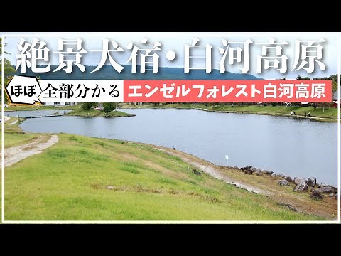 【犬と宿泊&旅行】★春夏秋冬おすすめ★エンゼルフォレスト白河高原まとめ！ほぼ全部分かる（スノーピークカフェ・夕食ブッフェ・カナディアンカヌー等をイッキ見！）【旅する豆柴】