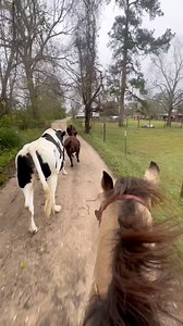 51K views · 3.6K reactions | Playing Cowboy! | Shirtless Jake's Homestead | Facebook