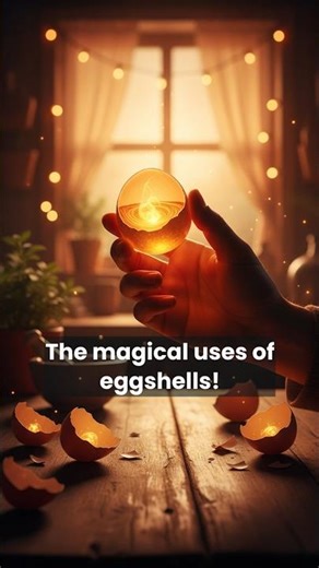 Stop Throwing Them Away! The magical uses of eggshells! #Eggshells #GardeningHacks #ZeroWaste #egg