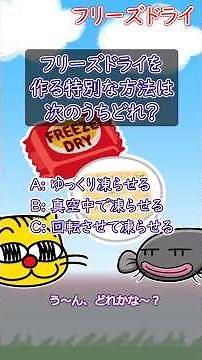 フリーズドライってどうやって作っているの？3秒で考えてね！毎日が科学、またねこクイズ！