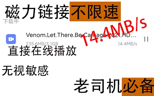 不会敏感 磁力链接秒播放 离线神器