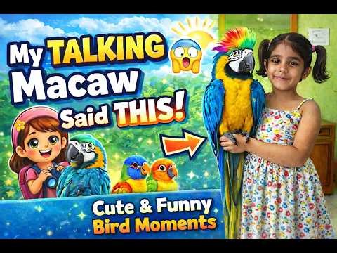 My Talking Macaw & Bird Friends 🦜🐦 | Full Day Fun & Cute Reactions #macaw #dance #love