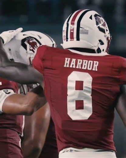 🔥 GAMECOCK NATION 🔥 I really do love this place! 🤙🏼 #collegefootball #southcarolina #beamer #cfb