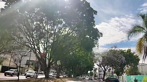 Av Chapultepec y Av La Paz, escenas actuales | Guadalajara Antigua