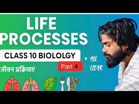 🔥 Respiration Made Super Easy | Class 10 Science