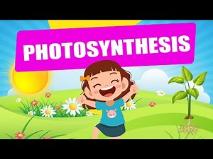 Photosynthesis | Educational Video | Science Lesson | Crash Course | Biology | Plants