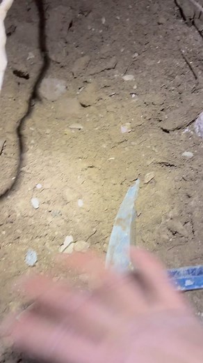 That Camping Couple on TikTok