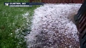 10K views · 129 reactions | What the #hail just happened in Custer?! A #severe t-storm just moved through Custer, SD and it dropped hail ranging in size from marbles to ping pong balls. Video: @naturetechfam (Twitter) #SDwx | WeatherNation | Facebook