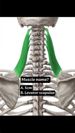 Guess the muscle? | quiz | anatomy | muscle #shorts