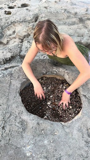 What Wildlife Will We Find in the Wilds of Texas? Frog & Millipede