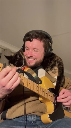 Bridget won’t let guitar practice get in the way of a cuddle 😆🐾 #telecaster #catdad #catshorts
