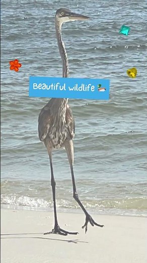 Port St. Joe Florida, A great beach town to visit